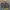 WWE Payback Fatal 4 Way 2015 Tshirt photo 2