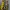 WWE Payback Fatal 4 Way 2015 Tshirt photo 6