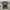 WWE Payback Fatal 4 Way 2015 Tshirt photo 1