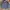 Crewneck Dickies Velvet Art 22 photo 1