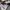 Crewneck Dickies Velvet Art 22 photo 3