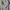 Halfzip Knitwear RalphLauren photo 7