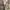 Baggy Trouser Niko And…