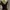 Long dress photo 5