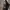 Long dress photo 3