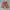 Beams Heart Japan Chino
Size M photo 1