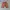 Beams Heart Japan Chino
Size M photo 3