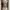MilkMaid Fairy Floral Flower Babydoll photo 1