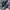 LOUIS VUITTON TRAINER NAVY MESH , LOUIS VUITTON TRAINER NAVY photo 6