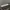 Celana Pendek Cargo Aeropostale Camo photo 4