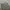 Celana Pendek Cargo Aeropostale Camo photo 3