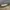Celana Pendek Cargo Inch By Inch photo 4