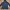 Uniqlo Blocktech M51 Fishtail Parka