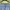 Carhartt Skater Casual Jeans Pria Blue