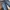 Jeans Polham Fading petir photo 3