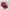 Zephyr D'Urban Vintage Streetwear Hat Pria burgundy photo 4