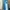 Corkcicle Blue