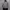 hoodie nike abu photo 1