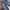 Jeans I2N Fading photo 3