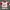 NHL Jersey Red Wings photo 1