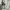 Sony Psp 3006 128gb full game photo 9