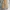 CARHARTT VINTAGE DOUBLE KNEE B01 BLK & BRN photo 3