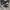 Converse Allstar Hi Black White photo 1