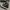Converse Allstar Hi Black White photo 2