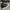 Converse Allstar Hi Black White photo 3