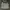 Phenix Gorpcore Track jacket Pria white photo 3