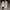 Adidas Bareda Tennis photo 1