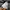 Hoodie Anak Abercrombie Athletics Abu-abu Logo Bulldog Tebal photo 4