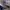 Adidas Gazzele 85 photo 7