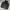 Coach jacket thrasher x independent photo 1