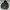 Coach jacket thrasher x independent photo 5