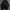 Nike Windbreaker Jacket photo 1