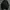 Nike Windbreaker Jacket