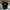 Kaos Fluke Worldwide photo 1