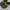 Sandal crocs anak - size C10 photo 7