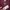 JERSEY BOLA KAPPA TORINO FC ORIGINAL 100% photo 3