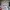 JERSEY ADIDAS PARLEY REAL MADRID 2018/2019 ORIGINAL 100% photo 3