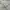 white canvas vintage jacket photo 6