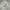 white canvas vintage jacket photo 5