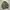 GU HUNTING JACKET