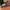 Sendal Max photo 1