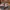 Sendal Max photo 5