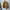 Vintage Synthetic Casual Harrington Flight Jacket photo 5