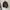 Vintage Rep-Re Suede Brown/Olive Harrington Flight Hacket photo 6