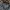 Saintpaint UrbanGarment Korean Brand Checked Plaid Casual Fl photo 4