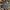 Saintpaint UrbanGarment Korean Brand Checked Plaid Casual Fl photo 2